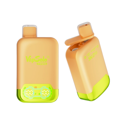 VAPSOLO TWINS 20000 LEMON LIME & WATERMELON ICE 5%